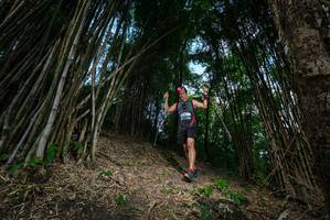 BIB: 
                            <button type="button" onclick="openModal(19395599)" class="btn btn-primary btn-sm float-right btn-popup" data-toggle="modal" data-target=".modal-high-quality">
                        <i class="fas fa-shopping-cart"></i> Add to Cart
                    </button>
                                            <button type="button" onclick="isThisMe(19395599, true)" class="btn btn-success btn-sm float-right btn-popup btn-isme hidden" data-toggle="tooltip" data-placement="bottom" title="นี่คือรูปของคุณใช่ไหม คลิกที่นี่เพื่อเอาเข้าอัลบั้ม">
                        <i class="fas fa-plus"></i> Add to album
                    </button>
                    <button type="button" onclick="isThisMe(19395599, false)" class="btn btn-warning btn-sm float-right btn-popup btn-isnotme hidden">
                        <i class="fas fa-ban"></i> Remove from album
                    </button>